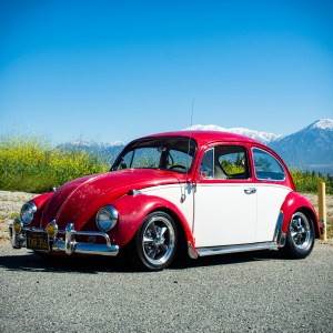 1967_VW_BUG