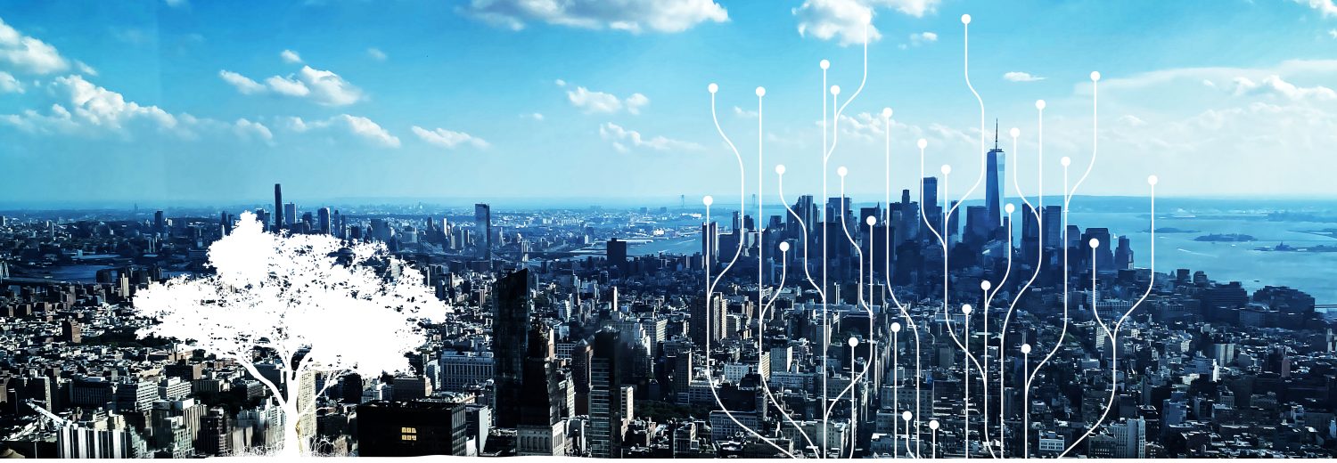 Digital Image of New York City with text stating Transmission